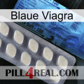 Blaue Viagra 34